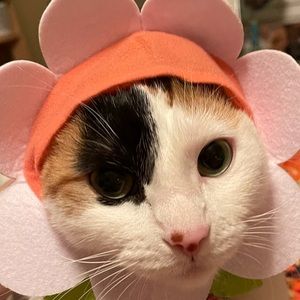 Bundle two items with the flower 🌺 emoji for $15